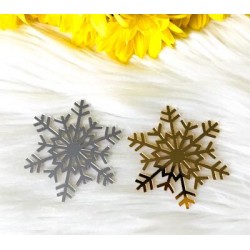 Pleksi Ayna Kartanesi