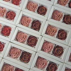 2 Bölmeli Bonbon Çikolata Kutusu Sürgülü