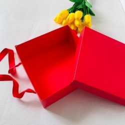 21x21x8 Karton Taşıma Kutusu-Pinyata Kutusu