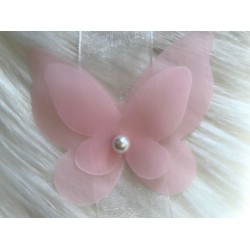 Şifon Kelebek,İncili